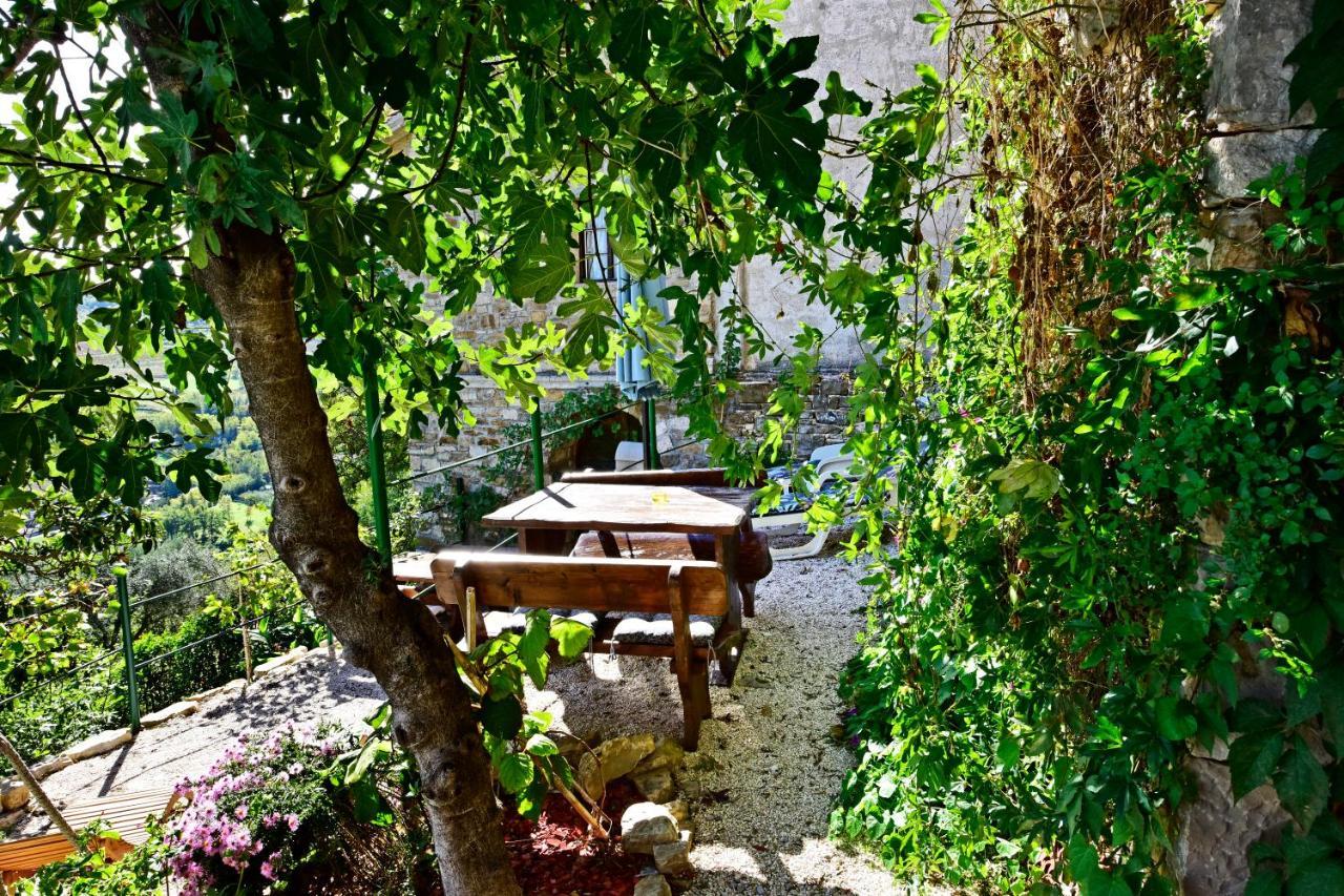Villa Fragola Motovun Εξωτερικό φωτογραφία